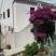 "JELE AND LUKA'S GUESTHOUSE", private accommodation in city Dubrovnik, Croatia - Ukrasno drvo